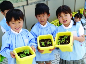 あさがおさん、早く大きくなってきれいなお花をさかせてね。