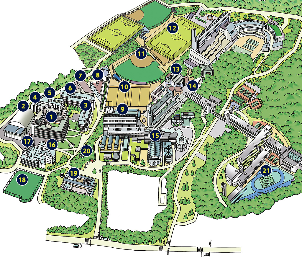 桐蔭横浜大学MAP
