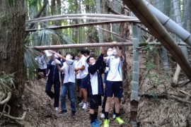 里山の道の整備竹を伐る