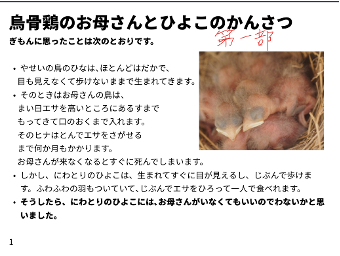 思考力 創造力 チャレンジ力 科学 夏休みの自由研究 小学校 教育実践