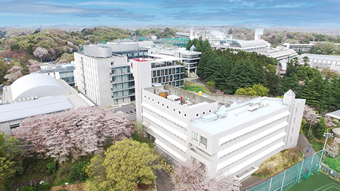 桐蔭横浜大学の上空から見た外観