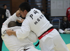 judo_h